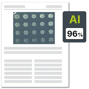 流式图查重案例