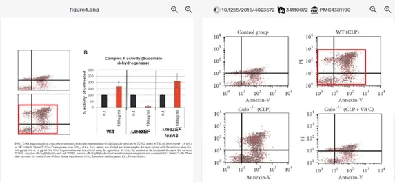 免疫组化图查重