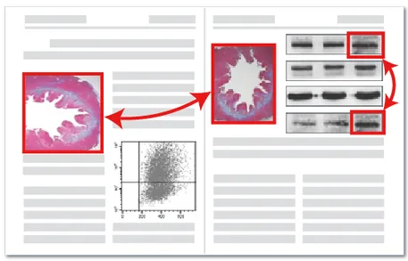图片重复检测示例