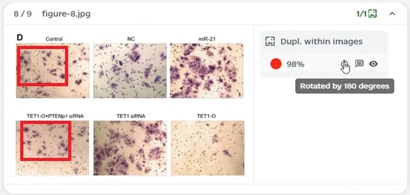 凝胶电泳图查重