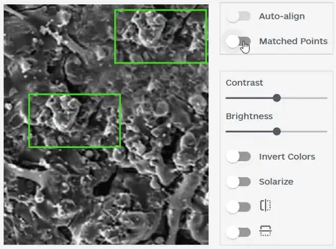 Western印迹图查重