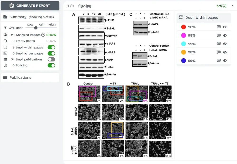 ImageTwin图片查重系统界面展示