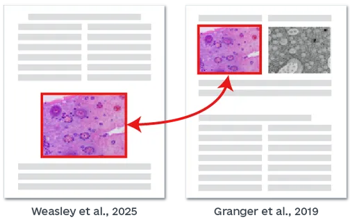 病理学载玻片查重